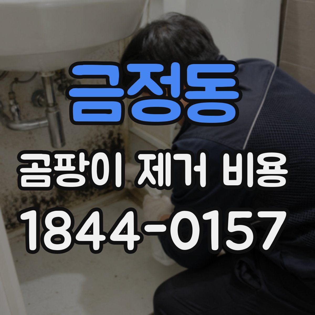 금정동 곰팡이 제거 비용