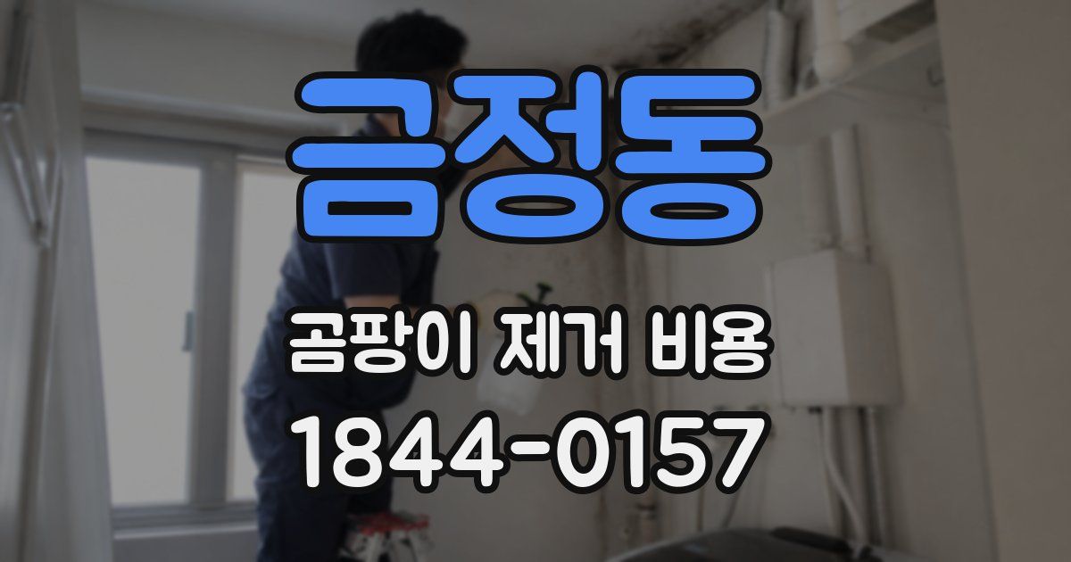 금정동 곰팡이 제거 비용