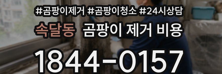 속달동 곰팡이 제거 비용
