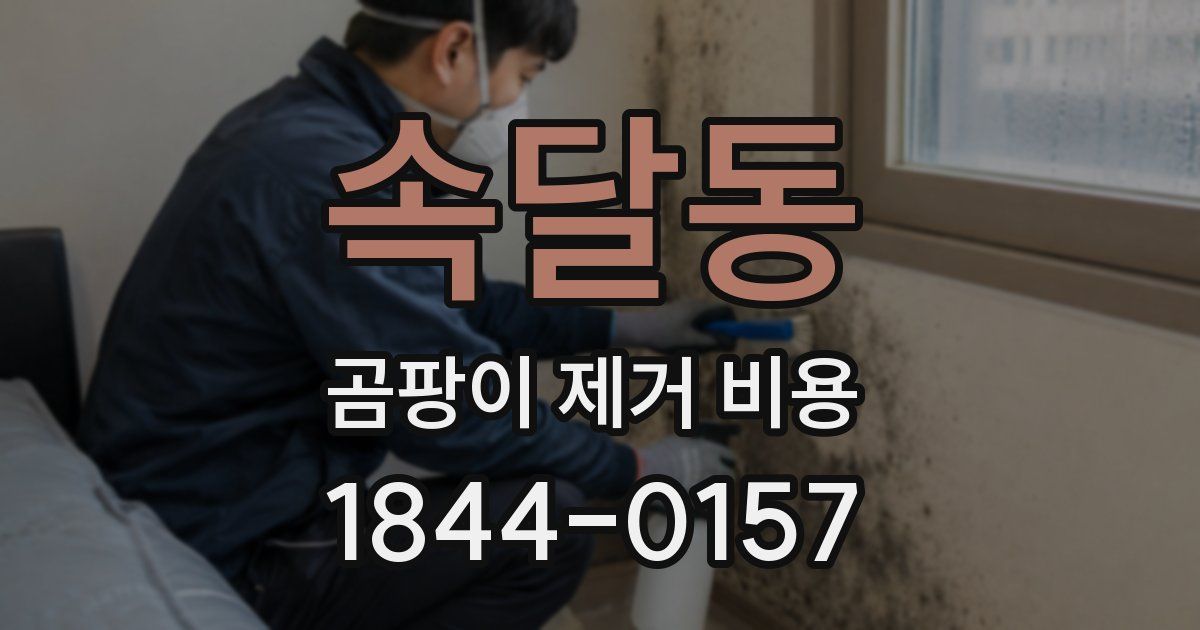 속달동 곰팡이 제거 비용
