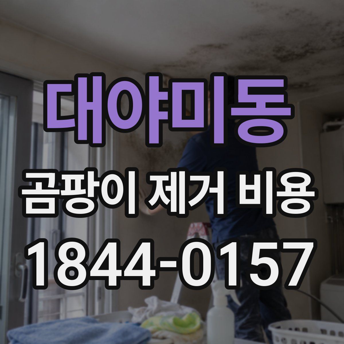 대야미동 곰팡이 제거 비용
