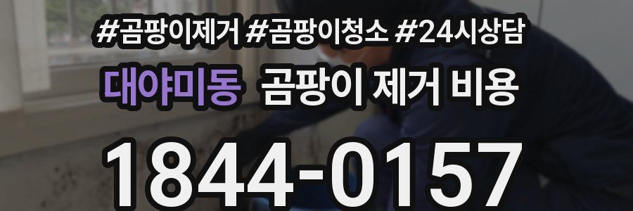 대야미동 곰팡이 제거 비용