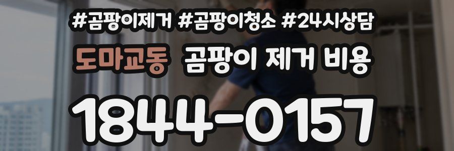 도마교동 곰팡이 제거 비용