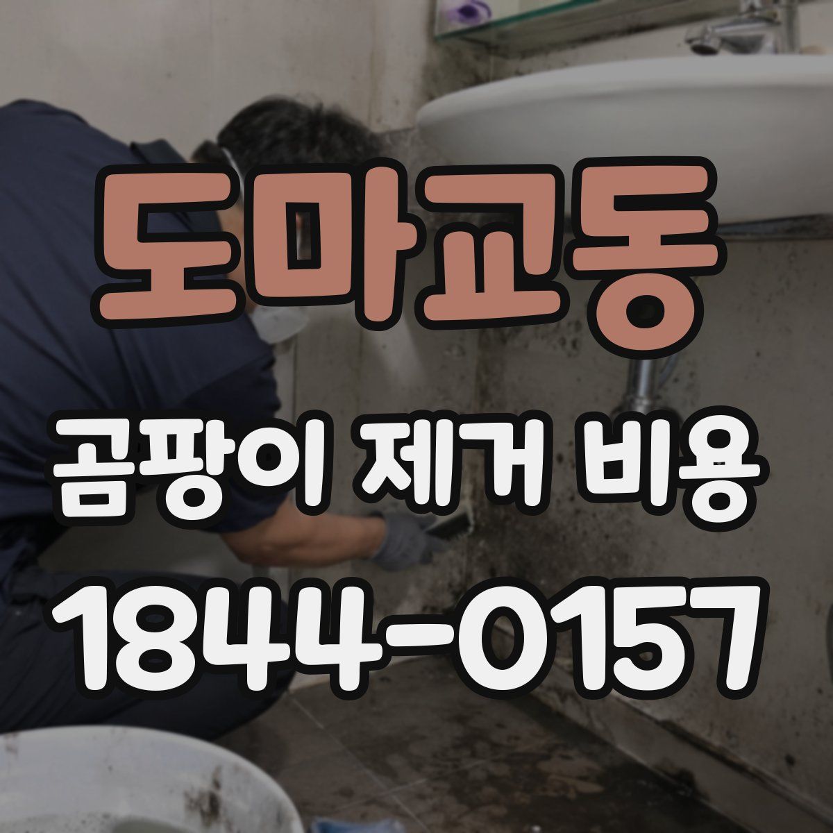 도마교동 곰팡이 제거 비용
