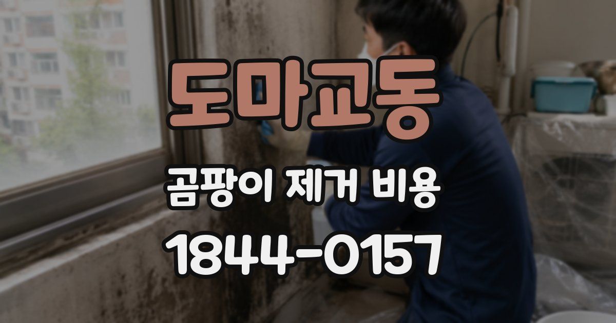도마교동 곰팡이 제거 비용