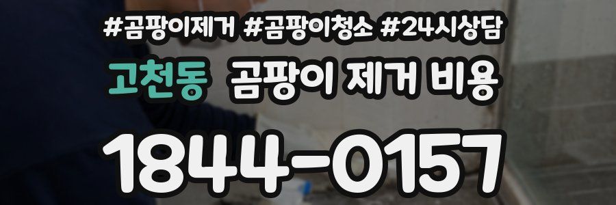 고천동 곰팡이 제거 비용