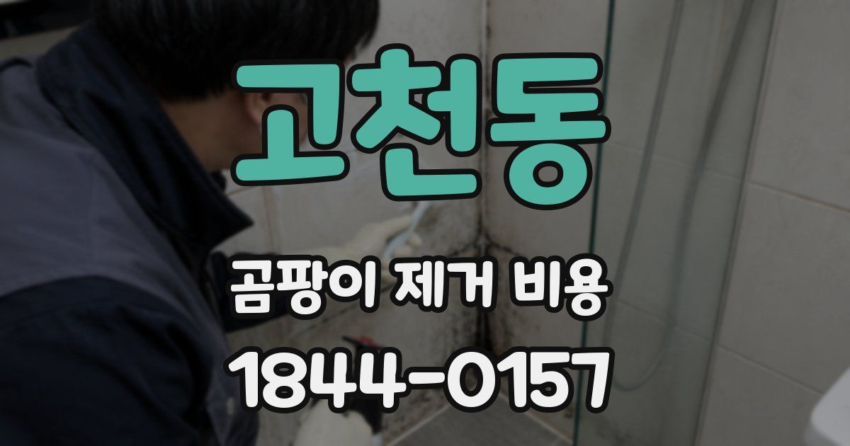 고천동 곰팡이 제거 비용