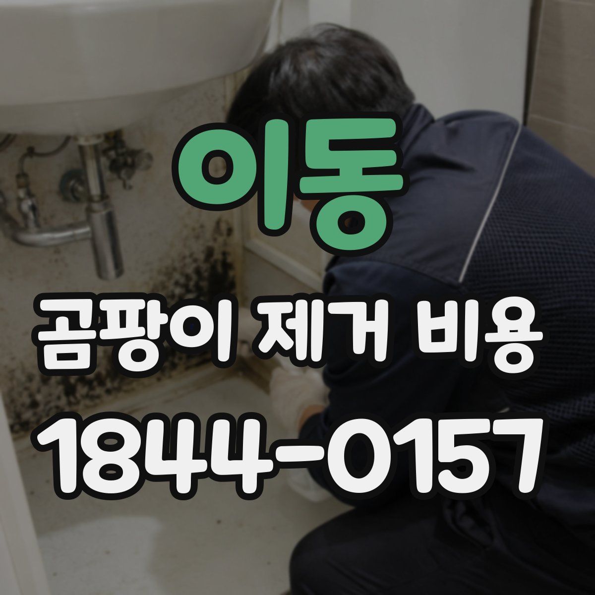 이동 곰팡이 제거 비용