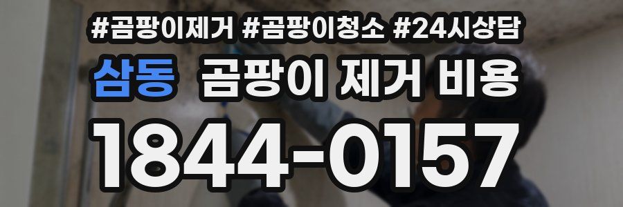 삼동 곰팡이 제거 비용
