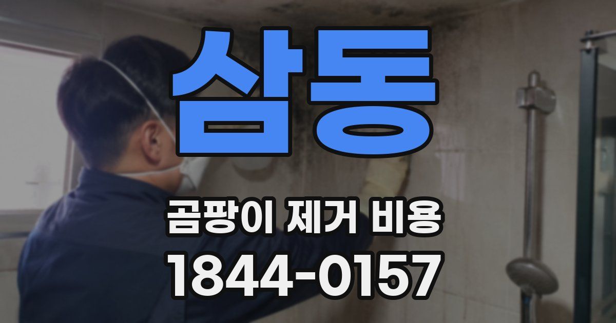 삼동 곰팡이 제거 비용