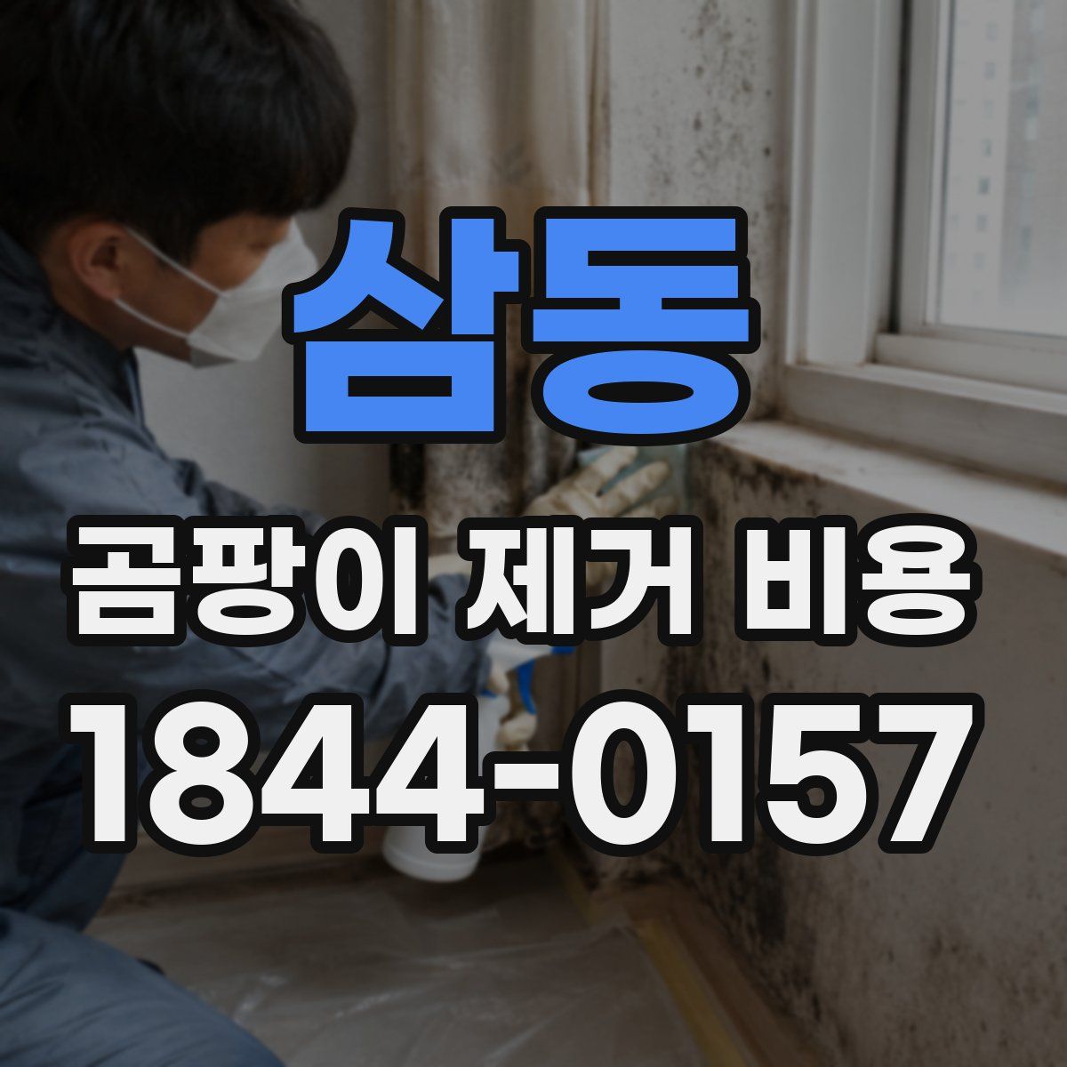 삼동 곰팡이 제거 비용