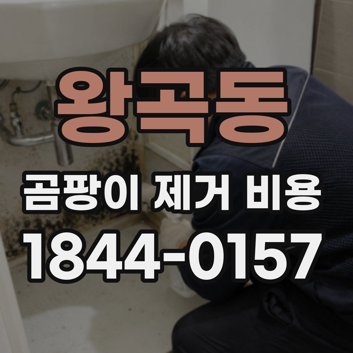 왕곡동 곰팡이 제거 비용