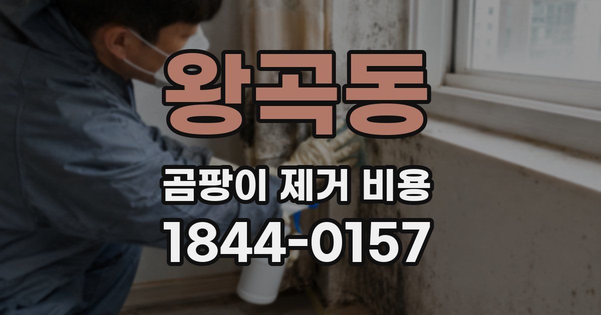 왕곡동 곰팡이 제거 비용