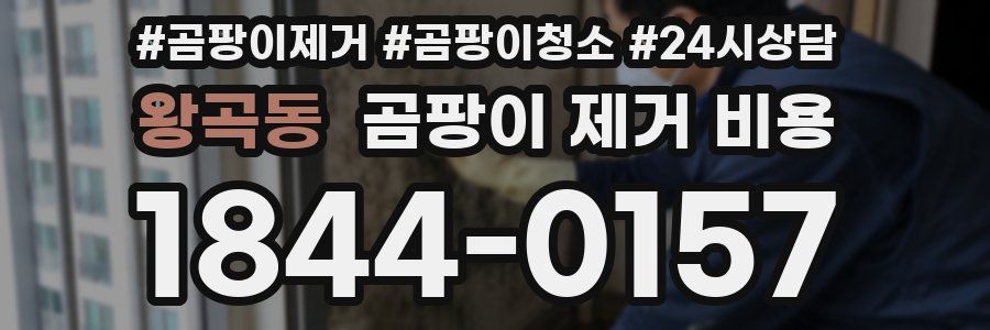 왕곡동 곰팡이 제거 비용