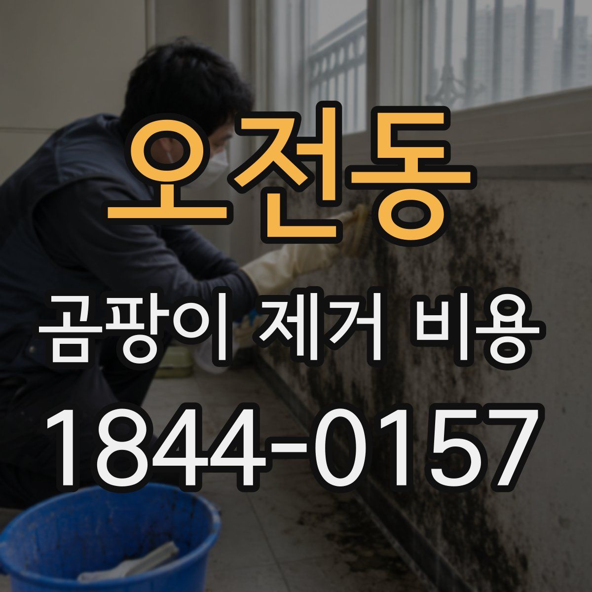 오전동 곰팡이 제거 비용