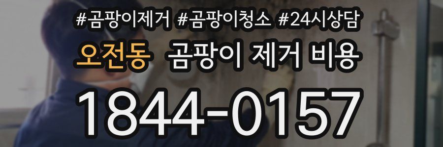 오전동 곰팡이 제거 비용