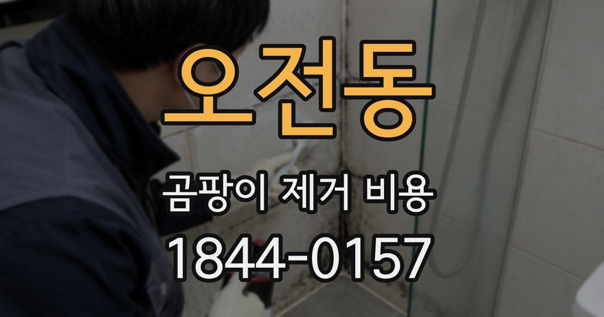 오전동 곰팡이 제거 비용