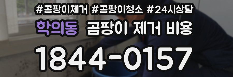 학의동 곰팡이 제거 비용