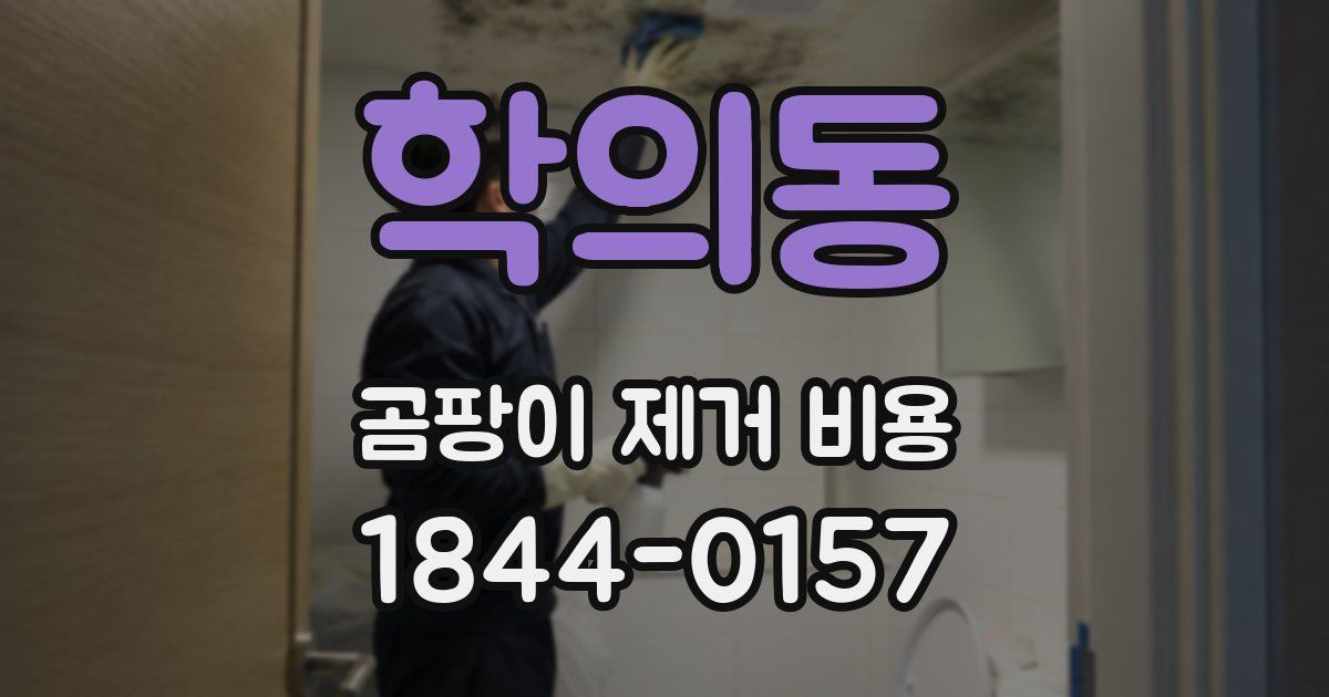 학의동 곰팡이 제거 비용