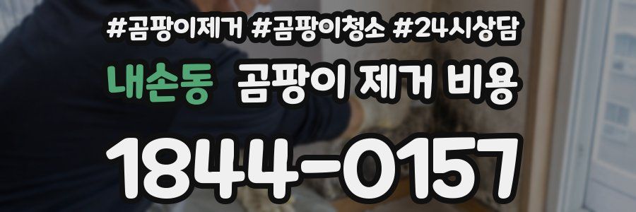 내손동 곰팡이 제거 비용