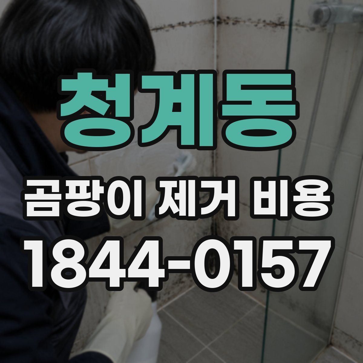 청계동 곰팡이 제거 비용