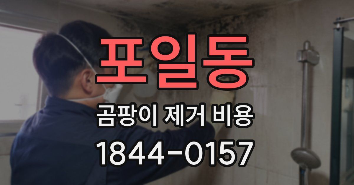 포일동 곰팡이 제거 비용