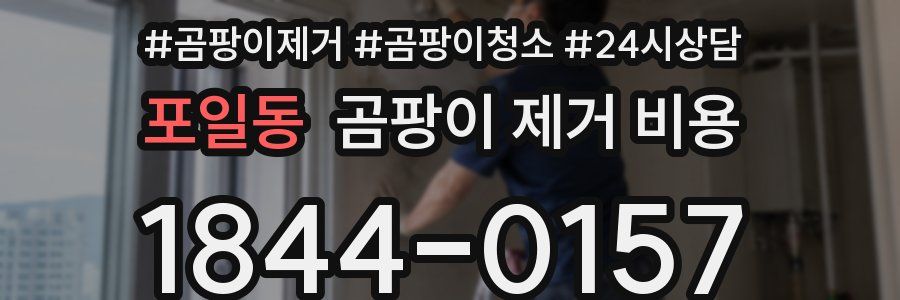 포일동 곰팡이 제거 비용