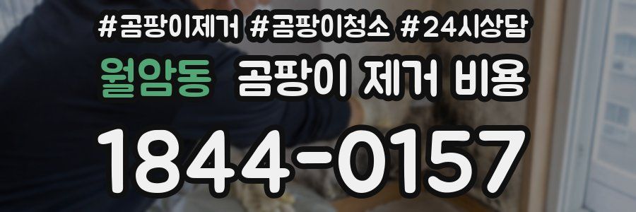 월암동 곰팡이 제거 비용