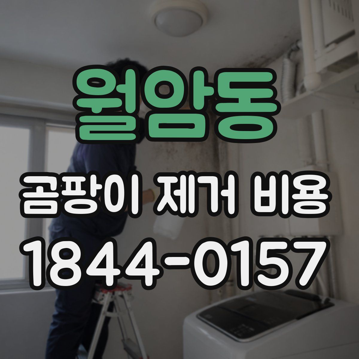 월암동 곰팡이 제거 비용