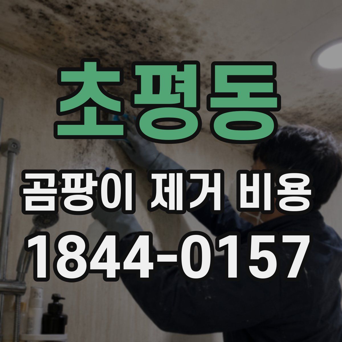 초평동 곰팡이 제거 비용