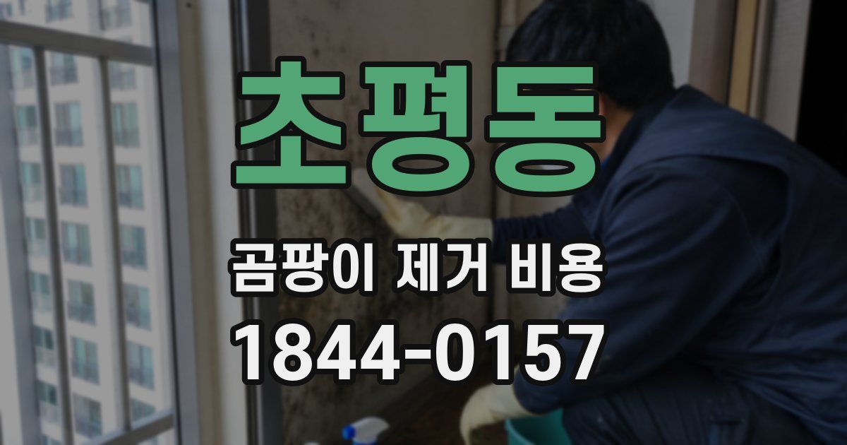 초평동 곰팡이 제거 비용