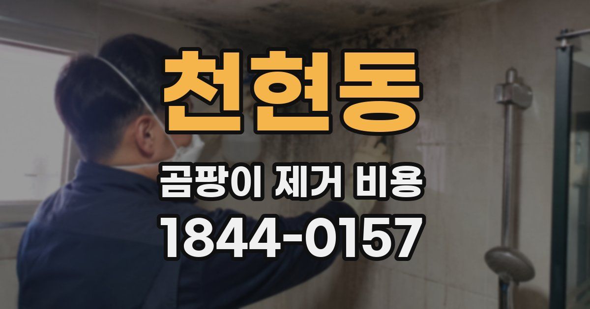 천현동 곰팡이 제거 비용