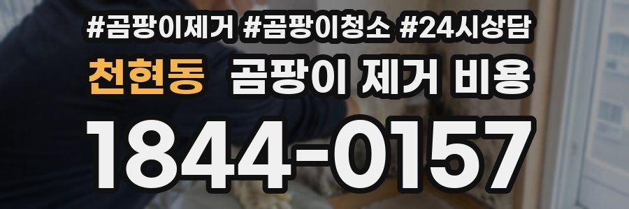 천현동 곰팡이 제거 비용