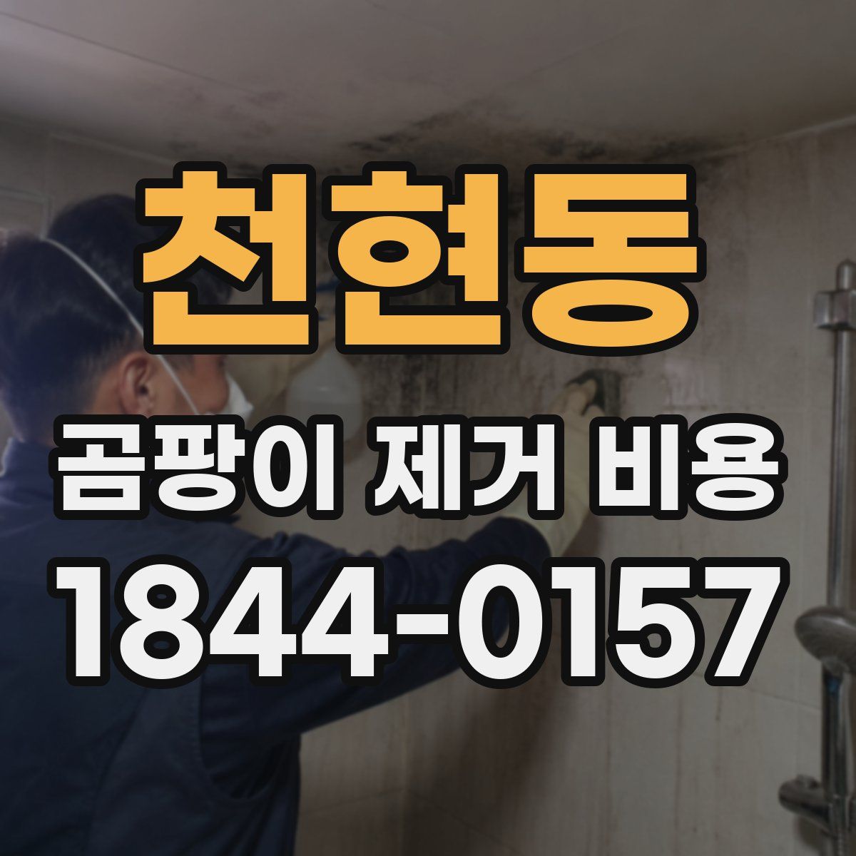 천현동 곰팡이 제거 비용