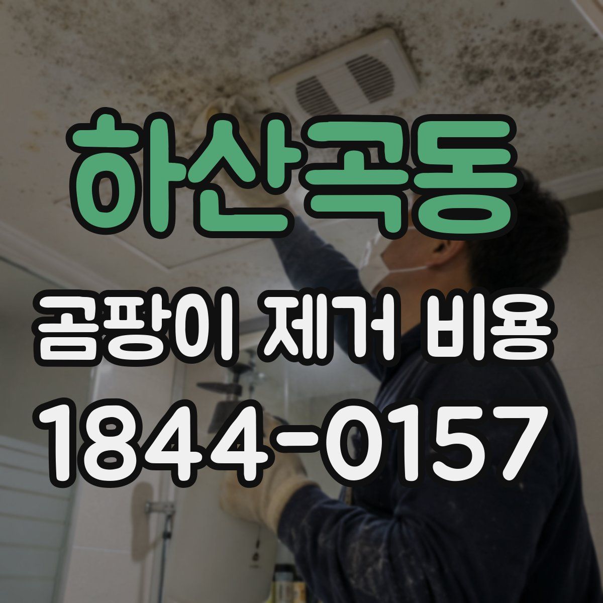 하산곡동 곰팡이 제거 비용