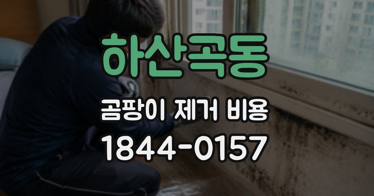 하산곡동 곰팡이 제거 비용