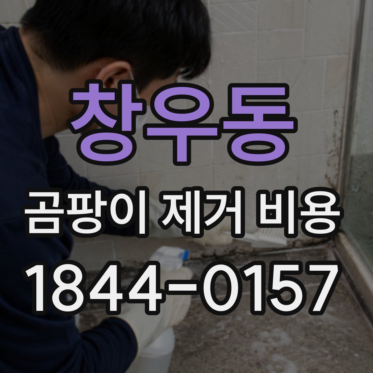 창우동 곰팡이 제거 비용