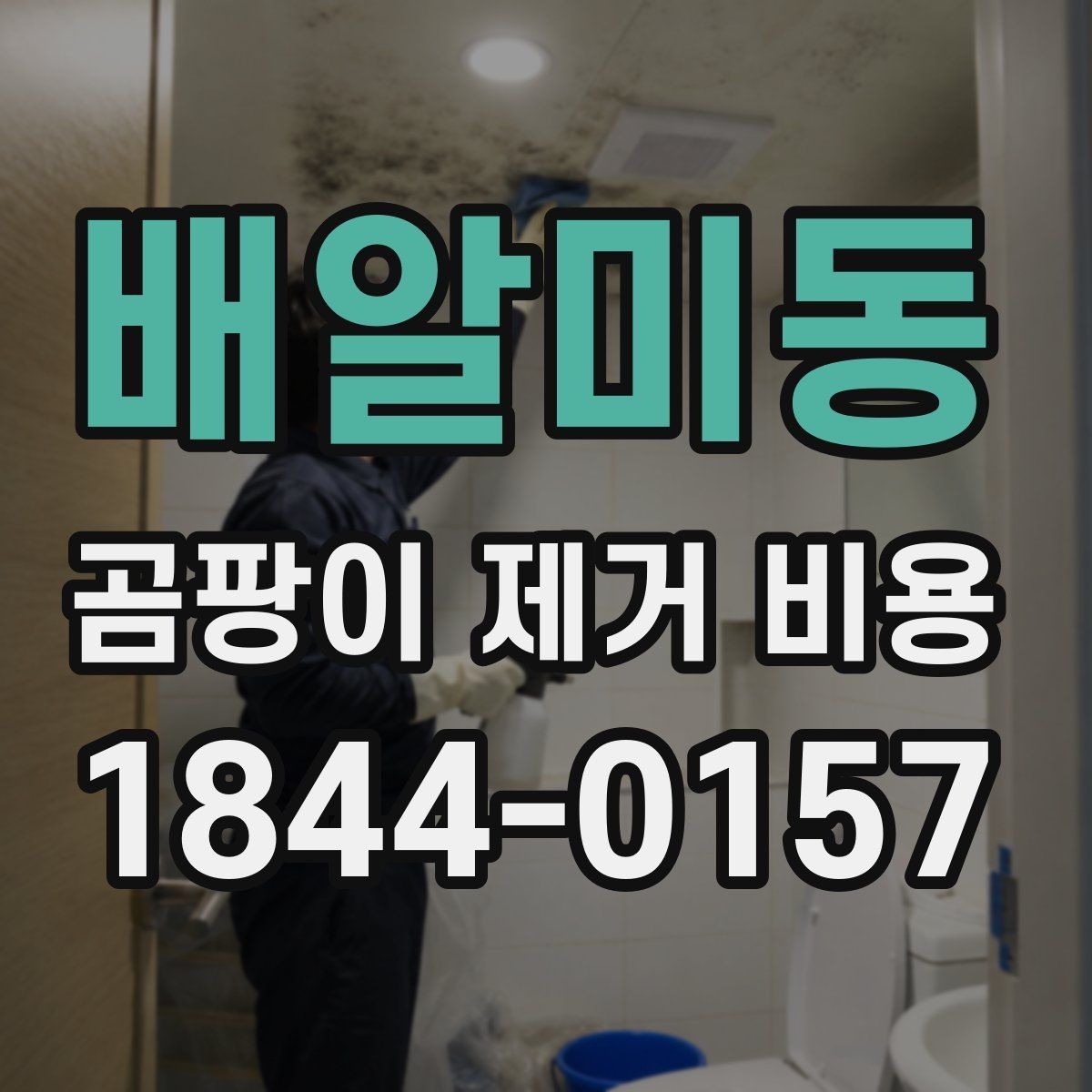 배알미동 곰팡이 제거 비용 긴급 출동이 필요한 경우 비용이 달라질까