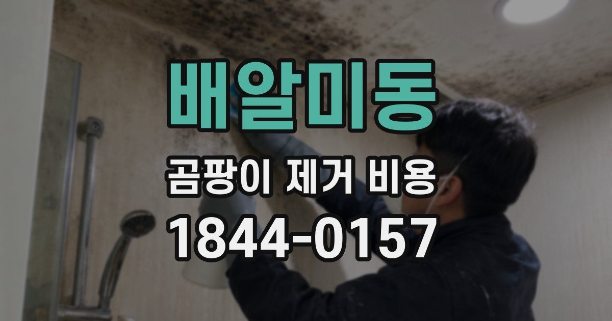 배알미동 곰팡이 제거 비용