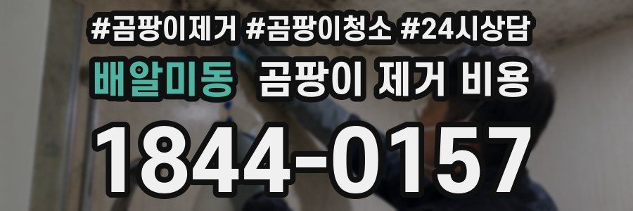 배알미동 곰팡이 제거 비용