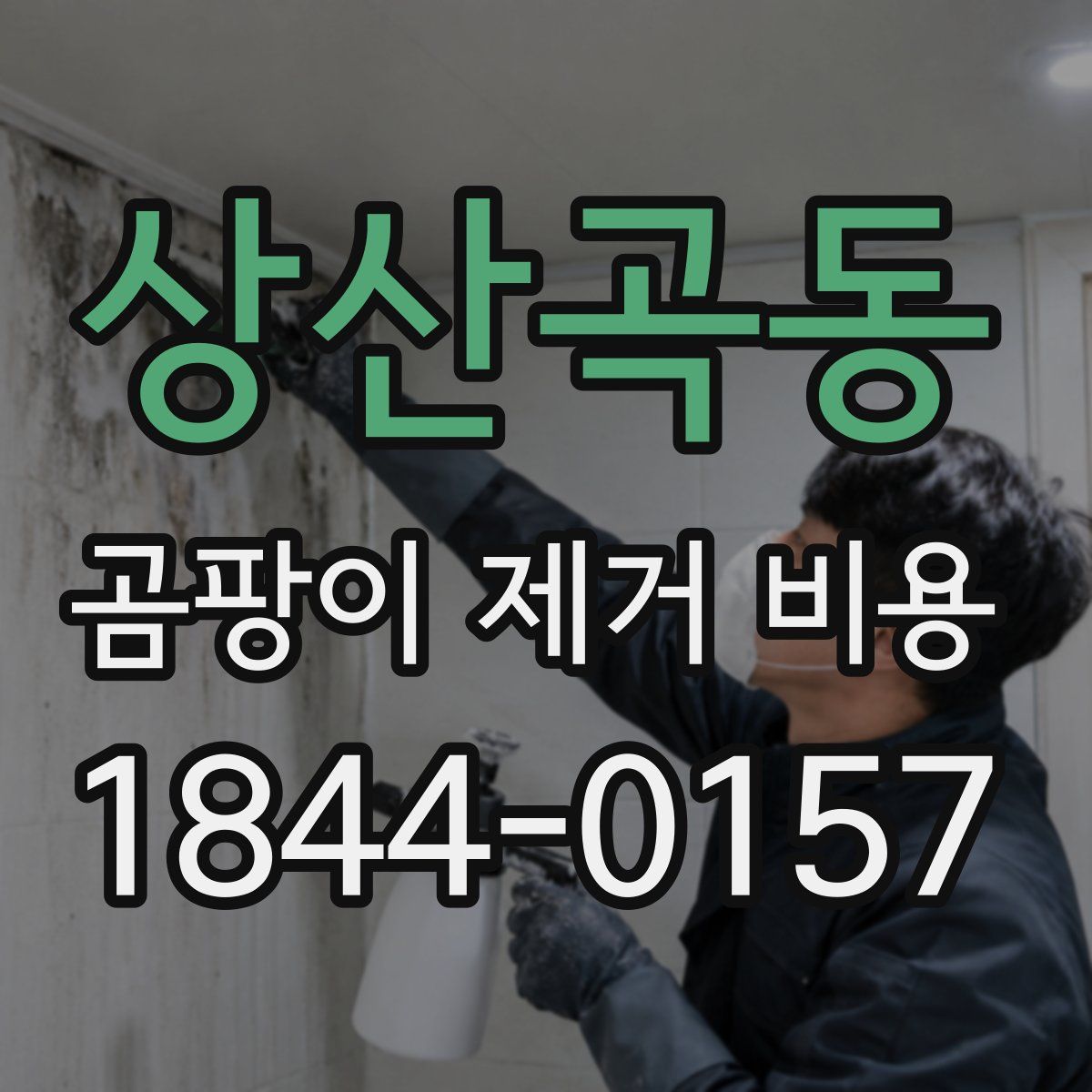 상산곡동 곰팡이 제거 비용