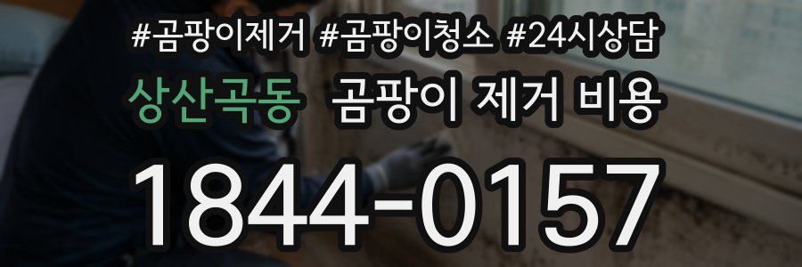 상산곡동 곰팡이 제거 비용