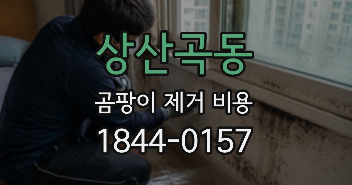 상산곡동 곰팡이 제거 비용