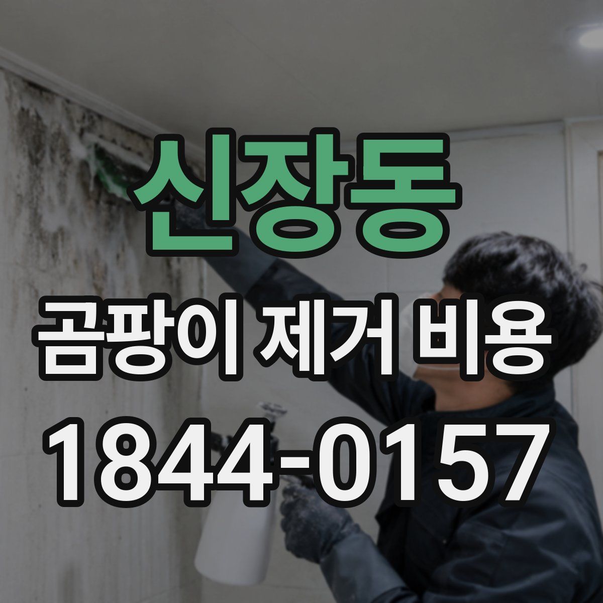 신장동 곰팡이 제거 비용