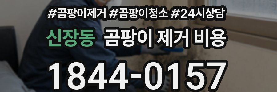 신장동 곰팡이 제거 비용