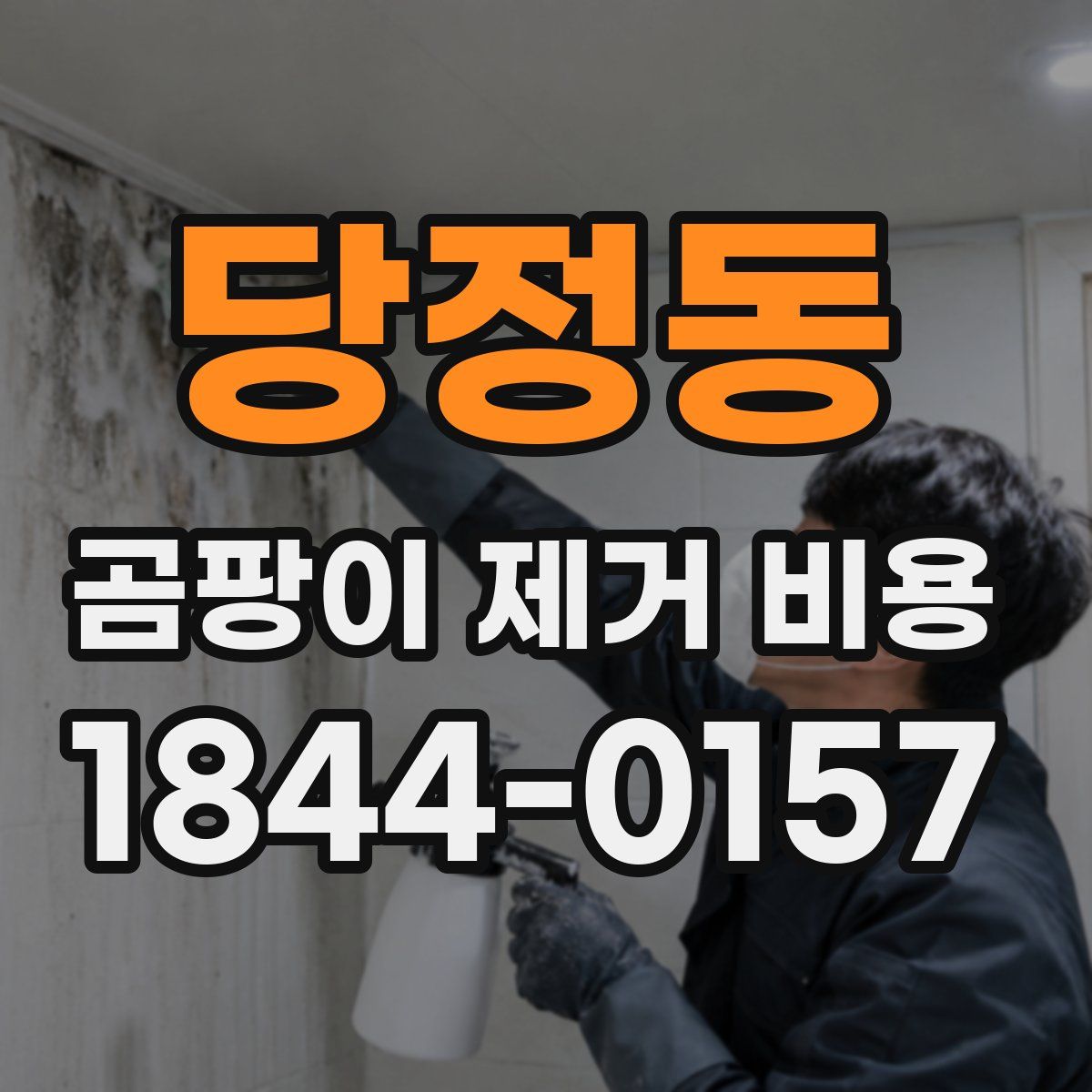 당정동 곰팡이 제거 비용
