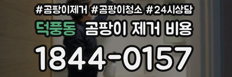 덕풍동 곰팡이 제거 비용