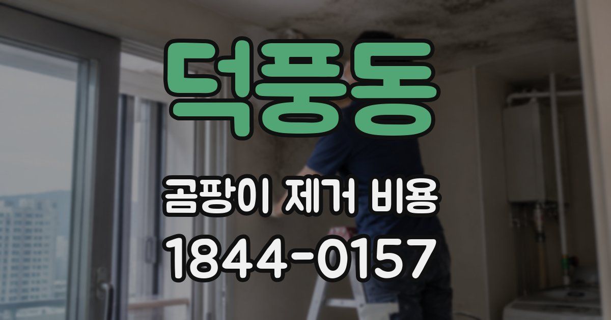덕풍동 곰팡이 제거 비용