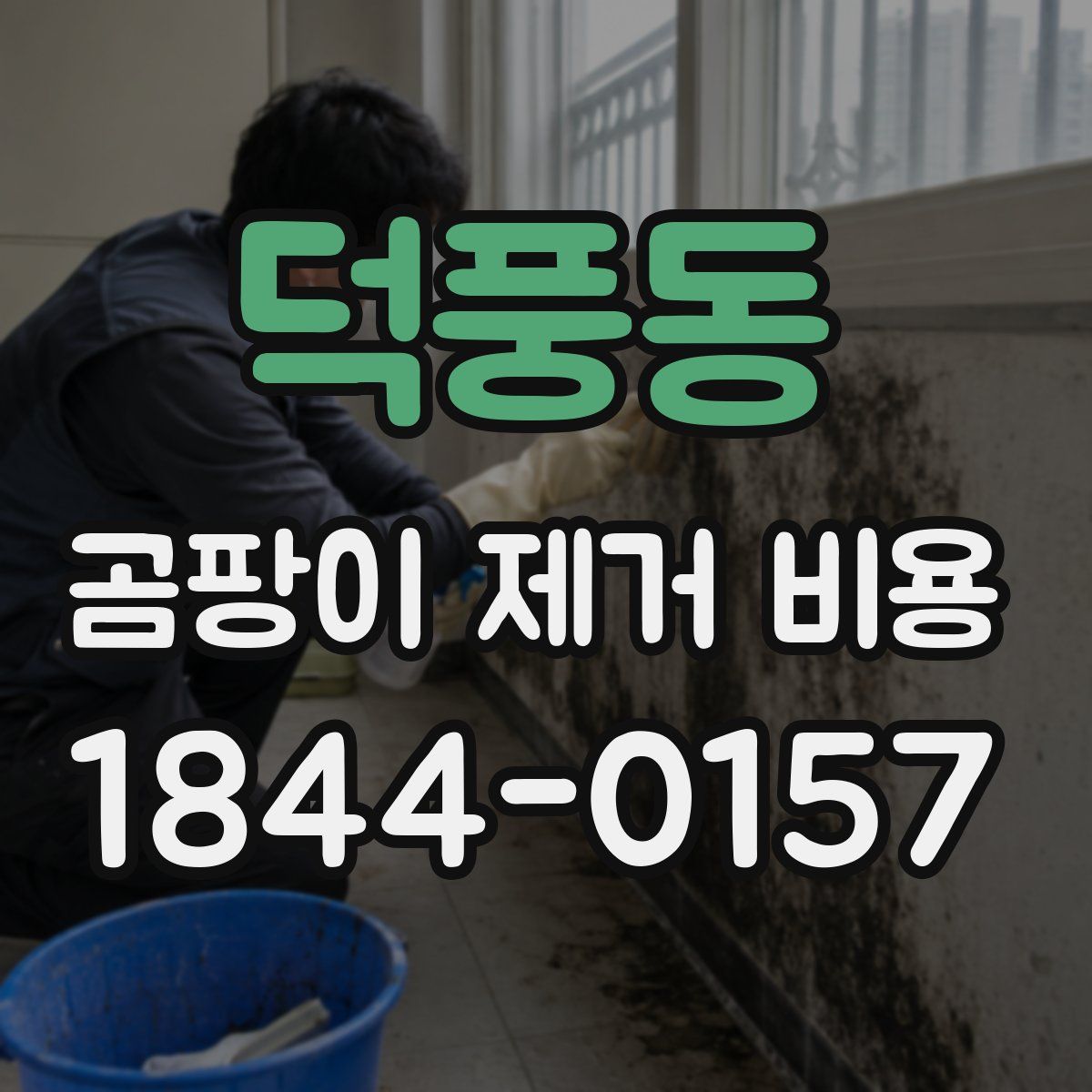 덕풍동 곰팡이 제거 비용