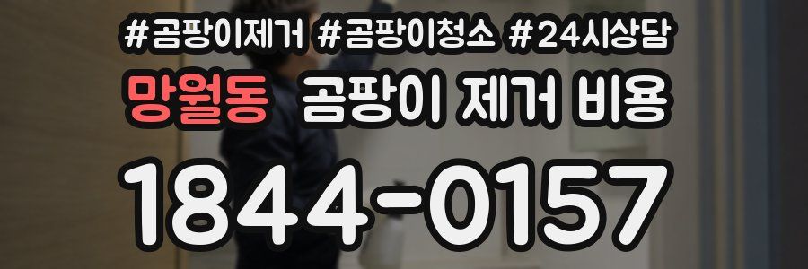 망월동 곰팡이 제거 비용